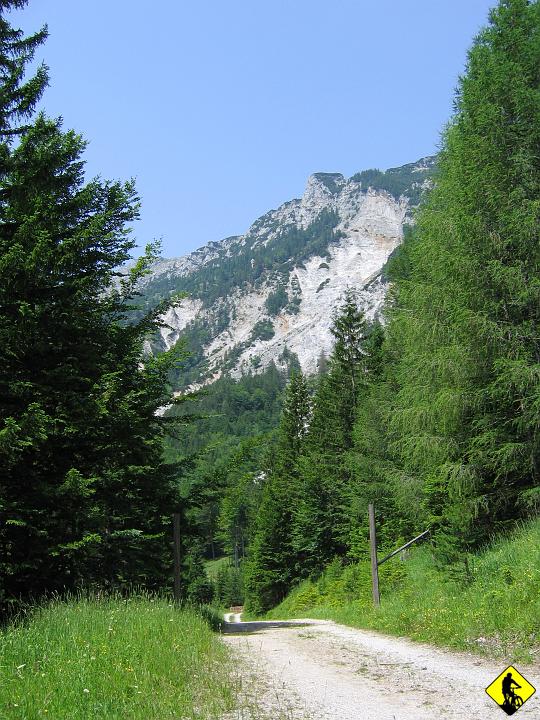 Karta1_ 172.jpg - Nie mogłem się nadziwić jak dobrze są utrzymane drogi w górach. U nas prawdopodobnie byłyby zniszczone przez zwózkę drewna. Chwile przed tym zdjęciem zaczął się szutrowy zjazd. Piękna pogoda, piękne widoki.